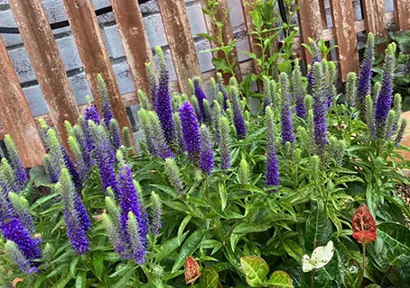 季節の花々でお出迎え。社員が心を込めてお手入れをしています。